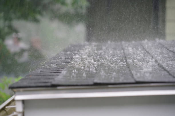 Best Skylight Installation and Repair  in Eddyville, KY