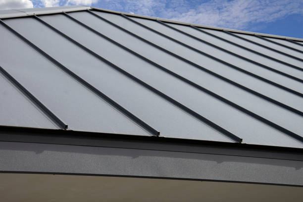 Best Cold Roofs  in Eddyville, KY