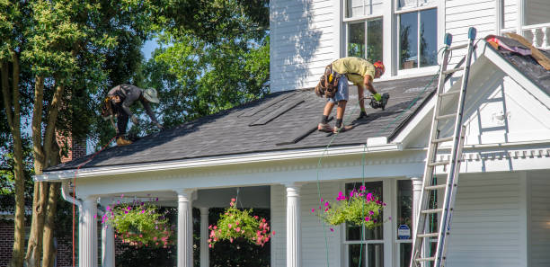 Best Roof Ventilation Installation  in Eddyville, KY